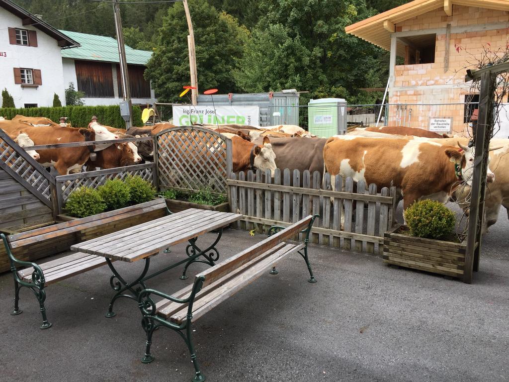 Pension Und Apartments Landhaus Marie Лойташ Екстериор снимка